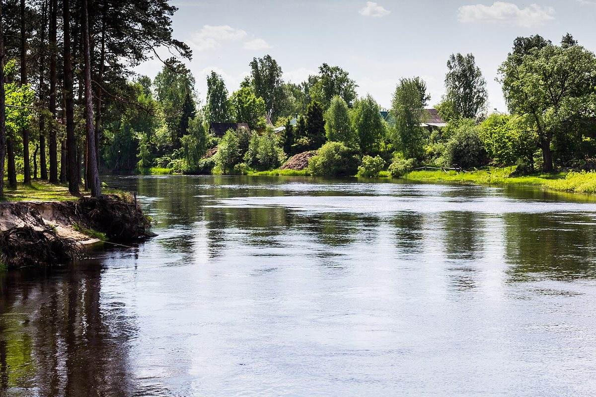 Пра летом: тёмная торфяная вода, сосны по берегам и ни одного человека на километры.